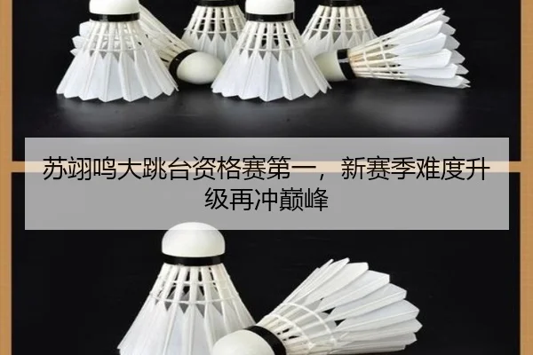 su-yi-ming-da-tiao-tai-zi-ge-sai-di-yi-xin-sai-ji-nan-du-sheng-ji-zai-chong-dian-feng-2-216.jpg