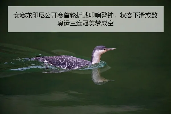 安赛龙印尼公开赛首轮折戟叩响警钟，状态下滑或致奥运三连冠美梦成空